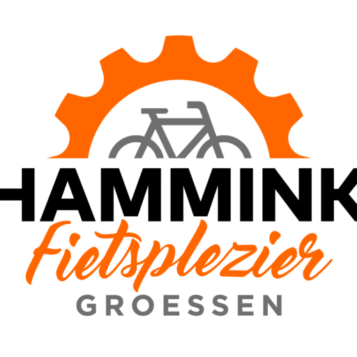 Logo Hammink Fietsplezier