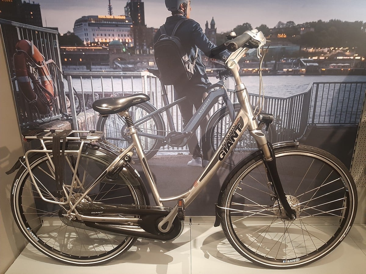 Giant Futuro CS Zilver Dames - Hammink Fietsplezier