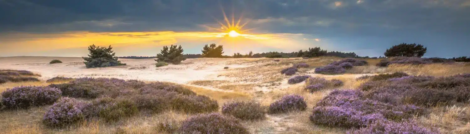 mooiste fietsroutes hoge veluwe