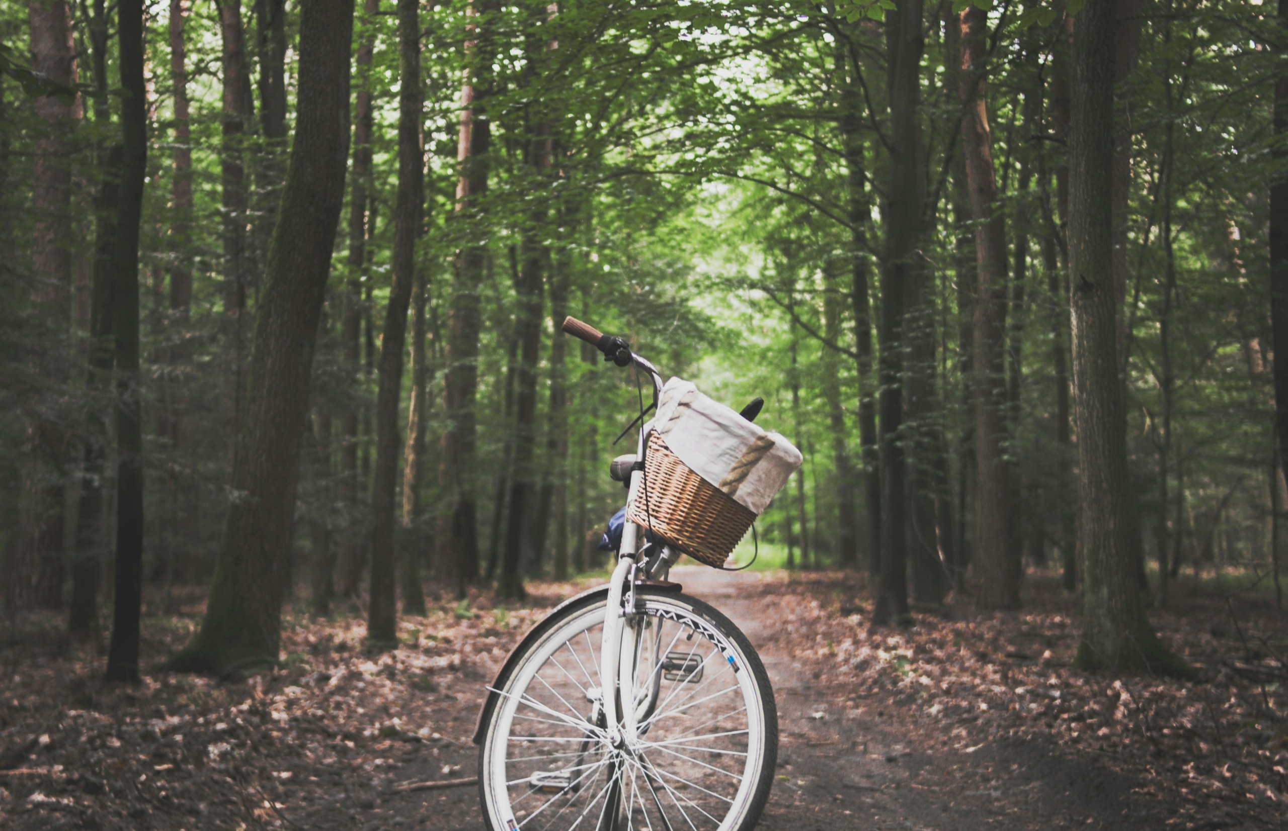 hammink fietsplezier fietsroute veluwe