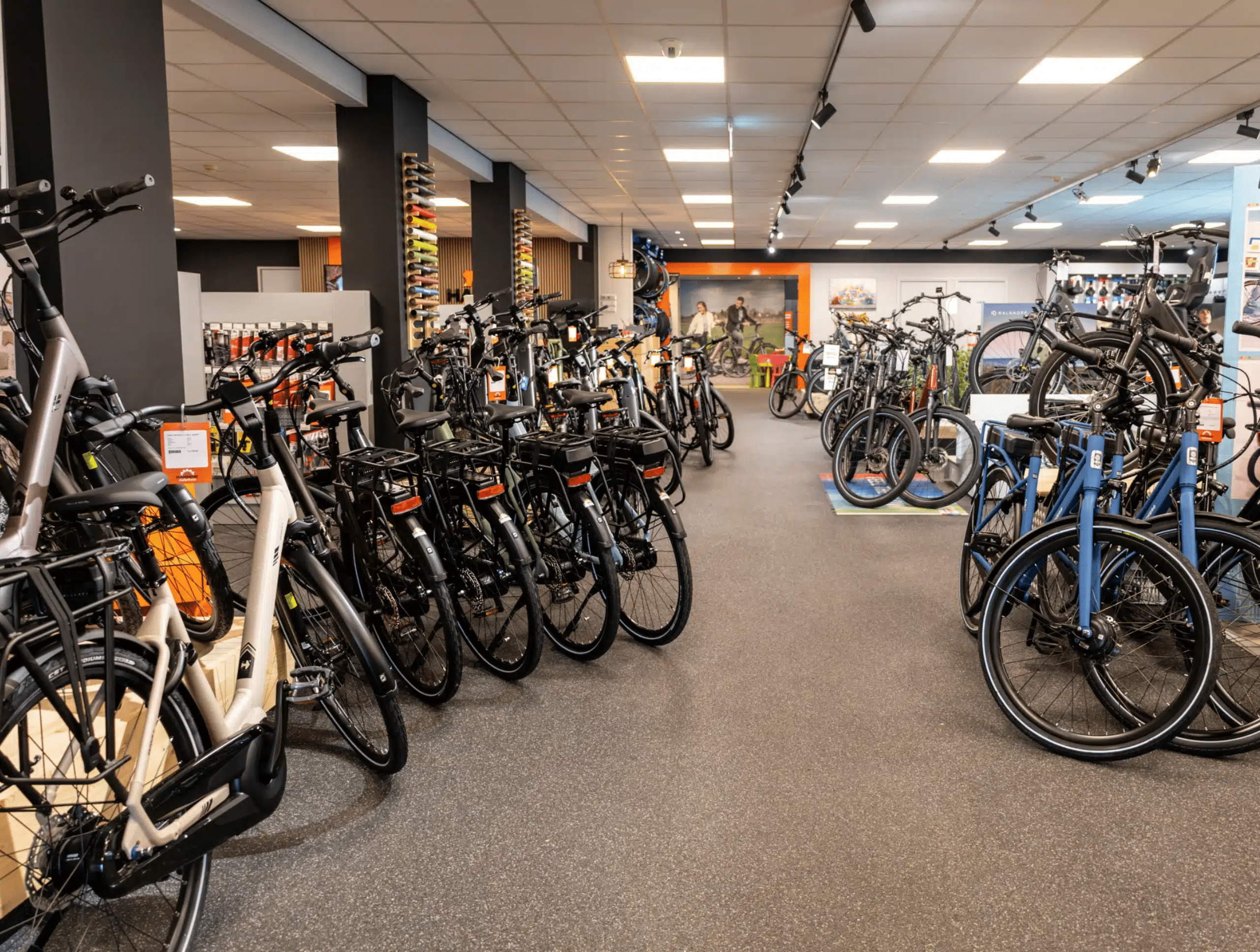 Over ons - Hammink Fietsplezier